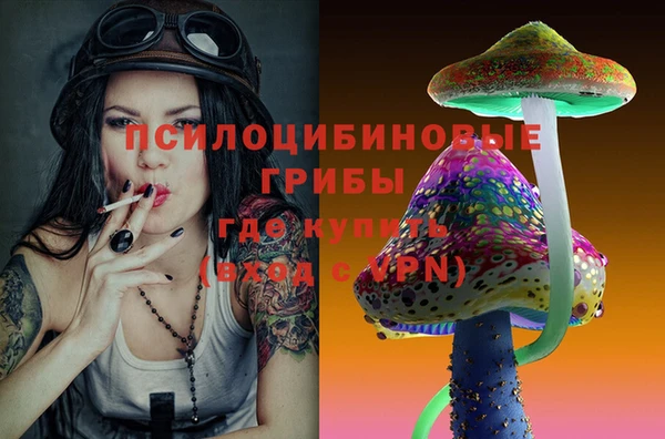 дживик Ладушкин