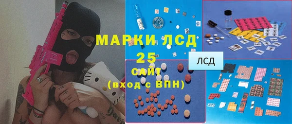 spice Бородино